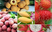 Xây dựng thương hiệu nông sản Việt Nam