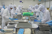 Nâng cao năng lực ứng phó với phòng vệ thương mại cho doanh nghiệp xuất khẩu Việt Nam
