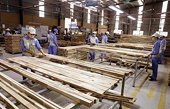Gia tăng số vụ việc phòng vệ thương mại