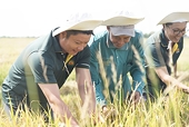 Khó về thị trường, xuất khẩu nông sản liệu có 'cán đích' 54 tỷ USD?