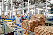 Ngăn chặn gian lận xuất xứ hàng hoá đi đôi với cảnh báo sớm