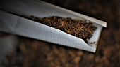 In-đô-nê-xi-a khởi xướng rà soát thuế tự vệ đối với sản phẩm giấy bọc thuốc lá nhập khẩu