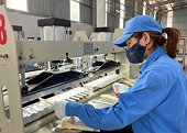 Doanh nghiệp ngành gỗ xoay xở để bước qua giai đoạn khó khăn