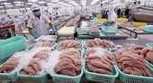 Ứng phó phòng vệ thương mại: Chủ động để không thiệt thòi