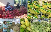 Xuất khẩu rau quả tăng trưởng mạnh, thủy sản và gỗ vẫn còn khó khăn