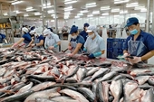 Mức suy giảm đang dần được thu hẹp, xuất khẩu cá tra sẽ cải thiện hơn vào cuối năm