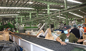 Kinh tế tuần hoàn mở đường cho xuất khẩu