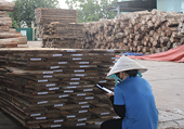 Cần biết cách phòng vệ và tự vệ thương mại, không nên “bỏ trứng vào một giỏ”