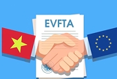 Nhìn lại hiệu quả ba năm thực thi EVFTA