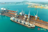 Xuất khẩu cải thiện nhưng còn nhiều khó khăn