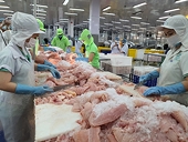 Lưu ý nhà xuất khẩu hàng hóa vào EU để tránh bị lừa đảo