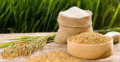Cảnh báo nguy cơ bị điều tra phòng vệ thương mại trong xuất khẩu gạo