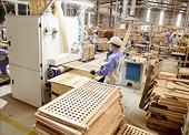 Xuất khẩu gỗ và sản phẩm gỗ dần phục hồi