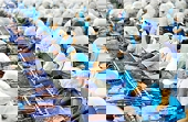 Doanh nghiệp cá tra “vượt sóng”