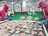 Mỹ đánh giá hệ thống kiểm soát vệ sinh an toàn đối với cá tra