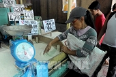 Philippines áp trần giá gạo nhằm kiềm chế tăng giá “báo động”