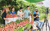 Chuyển đổi số giúp nông sản Việt vươn xa