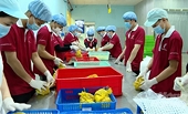 Điểm sáng xuất khẩu hàng hóa sang Nhật Bản