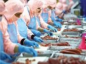 Quản lý chặt chẽ vệ sinh an toàn thực phẩm trong sản xuất thủy sản phục vụ xuất khẩu
