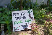 Dược liệu Việt Nam vẫn xuất khẩu phần lớn ở dạng thô