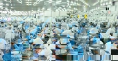 Doanh nghiệp xuất khẩu thuỷ sản lấy lại đà cân bằng