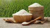 Xuất khẩu gạo Việt Nam thiết lập kỷ lục mới
