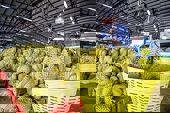 Xuất khẩu 42,2 tỷ USD hàng hóa sang Trung Quốc, thị trường lớn duy nhất tăng trưởng dương