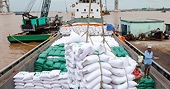 Thực hiện hiệu quả các FTA, thúc đẩy xuất khẩu