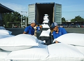 Cải thiện chuỗi giá trị nông sản cần hướng đến thị trường
