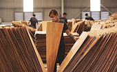 Doanh nghiệp ngành gỗ cần trang bị “phao cứu sinh” trước "làn sóng" điều tra phòng vệ thương mại