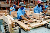 Phòng tránh các biện pháp phòng vệ thương mại để hạn chế rủi ro, khẳng định vị thế