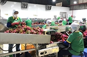 Phối hợp đa ngành đẩy mạnh xuất khẩu nông sản