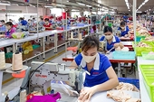 Ngành dệt may sụt giảm xuất khẩu: Chuyển đổi để tồn tại và phát triển