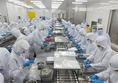 “Đòn bẩy” UKVFTA: Xuất khẩu tôm sang Anh có thể tăng trưởng 2 con số