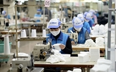 Xuất khẩu vào thị trường Canada: Doanh nghiệp cần đặc biệt quan tâm đến tiêu chuẩn phát triển bền vữngXuất khẩu vào thị trường Canada: Doanh nghiệp cần đặc biệt quan tâm đến tiêu chuẩn phát triển bền vững