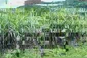 Phòng vệ thương mại của Việt Nam thực hiện công bằng, công khai, minh bạch
