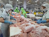 Chưa thể vui dù đơn hàng trở lại