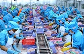 Xuất khẩu cá ngừ Việt Nam sang Anh đảo chiều giảm