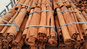Làm gì để gia tăng giá trị xuất khẩu cho ngành quế?