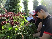 Xuất khẩu ngày càng khó vì vướng "barie" xanh