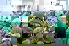 Xuất khẩu nông sản: Cần xóa bỏ tư tưởng chấp nhận rủi ro