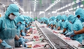 Doanh nghiệp Việt thắng kiện, giảm rủi ro phòng vệ từ Đề án 316 của Thủ tướng