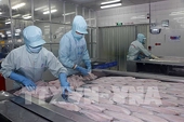 Để doanh nghiệp không "mắc kẹt" trong rào cản thương mại