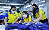 FTA tạo cơ hội thuận lợi cho ngành dệt may mở rộng thị trường xuất khẩu