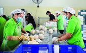 Nâng sức cạnh tranh cho nông sản Việt tại Mỹ và EU bằng chất lượng và uy tín