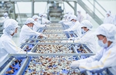 Nhiều mặt hàng xuất khẩu thoát khỏi các vụ việc phòng vệ thương mại