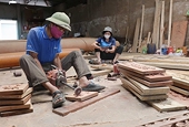 Ngành gỗ Việt Nam gặp khó ở thị trường EU
