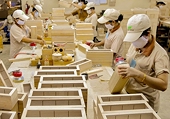 Nhiều thách thức đặt ra trong lĩnh vực xuất khẩu gỗ