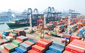 Xuất siêu năm thứ 8 liên tiếp là dấu ấn đáng ghi nhận
