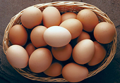 Nga dỡ bỏ thuế nhập khẩu trứng